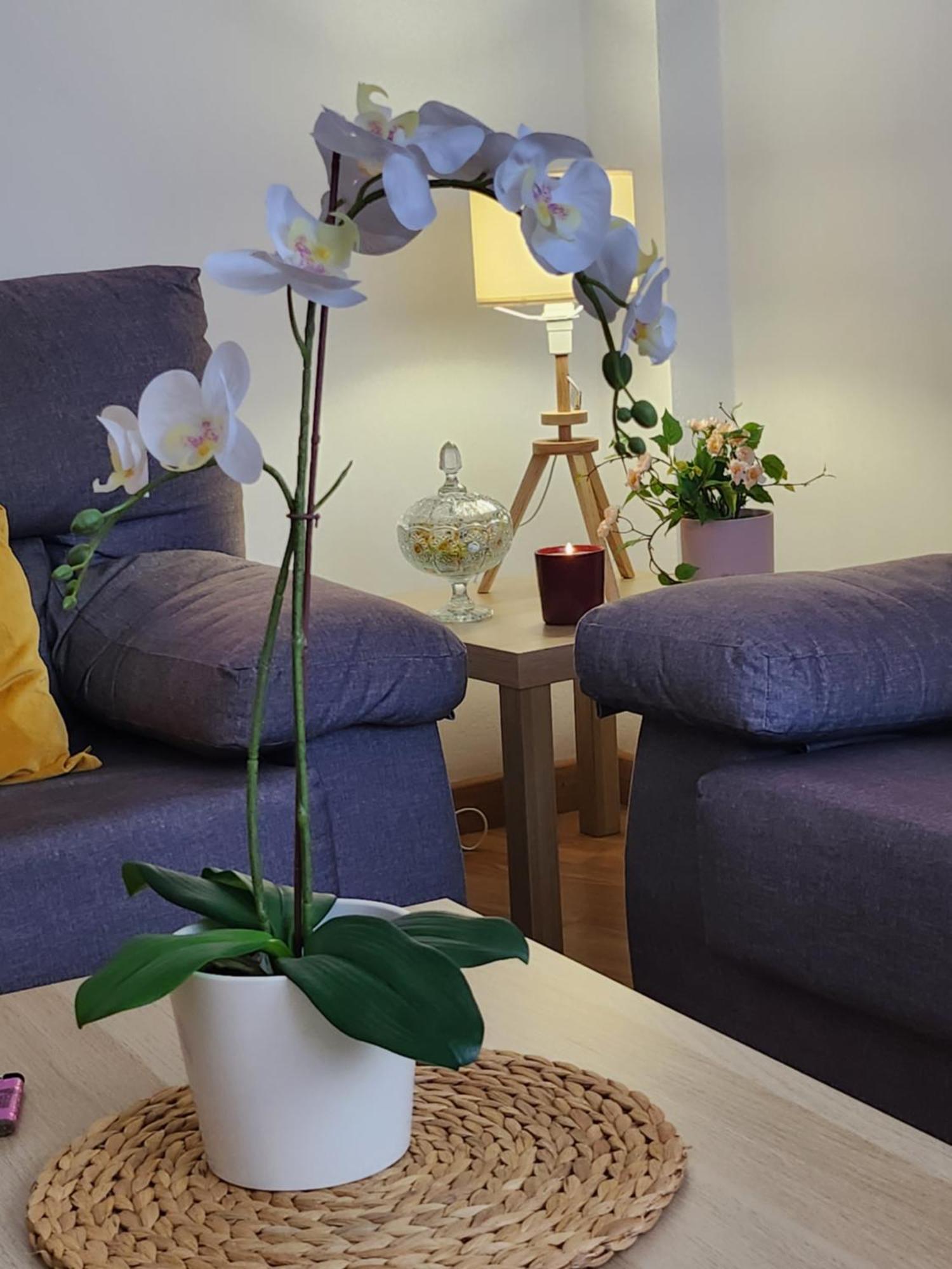 Casa Gara Isabel Appartement Arrecife  Buitenkant foto